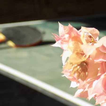 Strouvalis Lejlighed