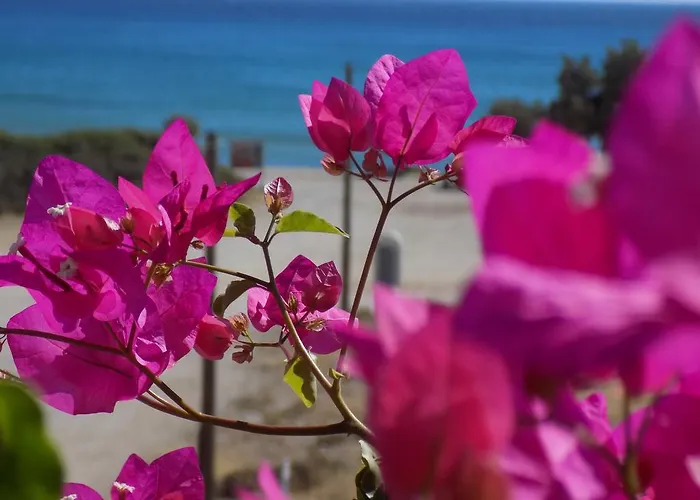 Strouvalis شقة Agiassos