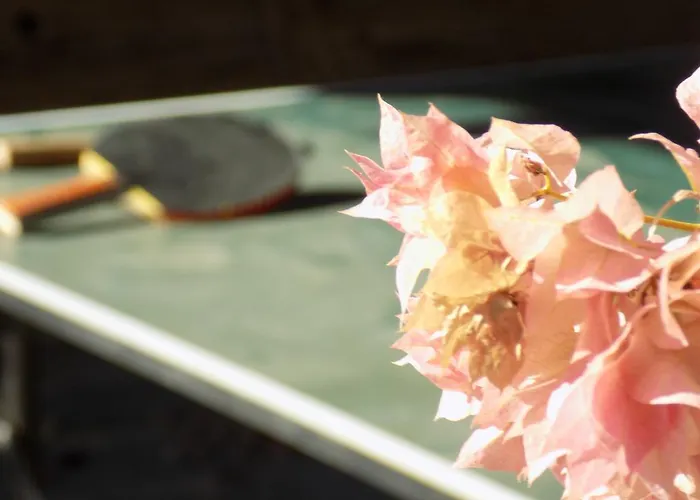 Strouvalis Apartment